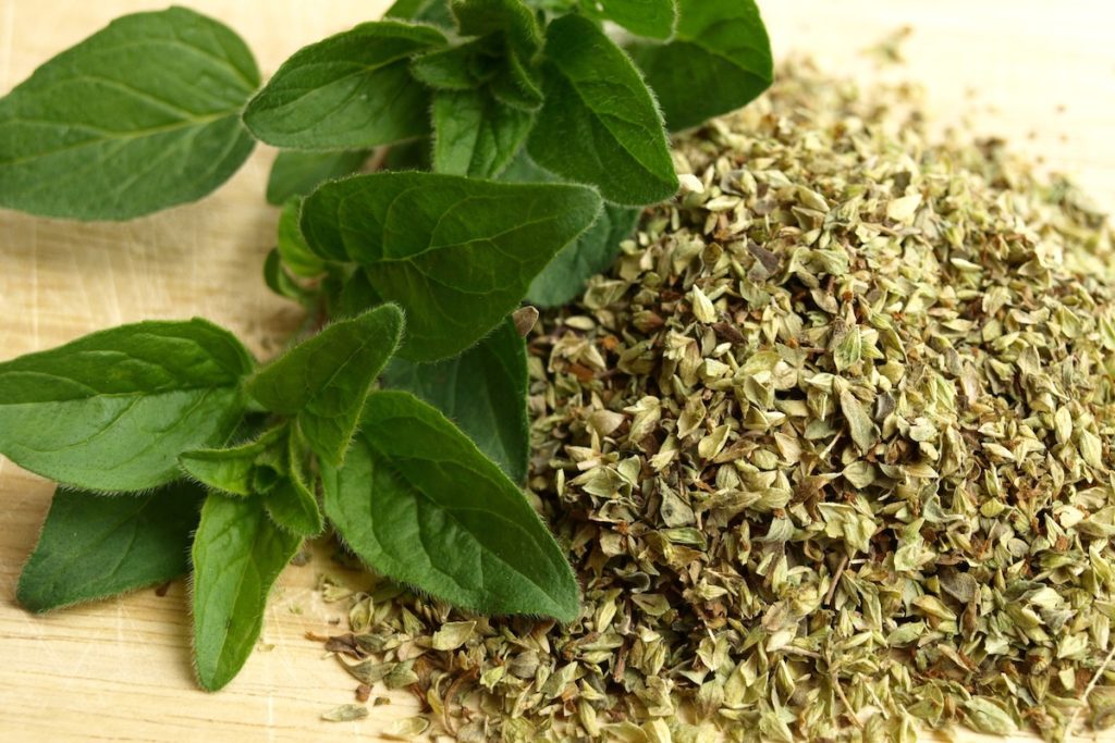 oregano